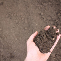 Topsoil Grade A