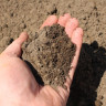 Top Soil Grade A